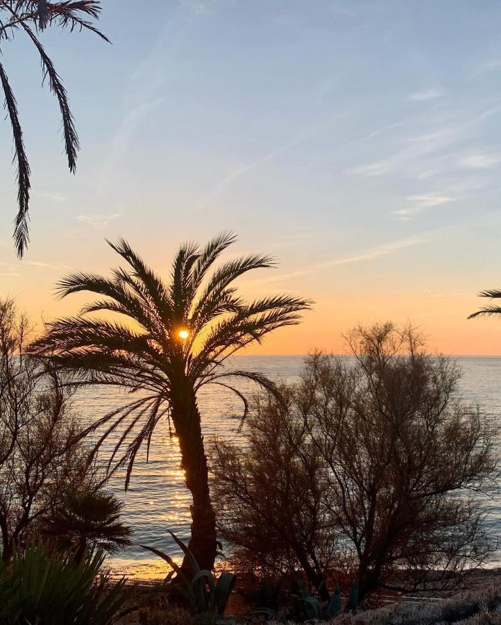 Studio Sanary-Sur-Mer Proche Gare Экстерьер фото